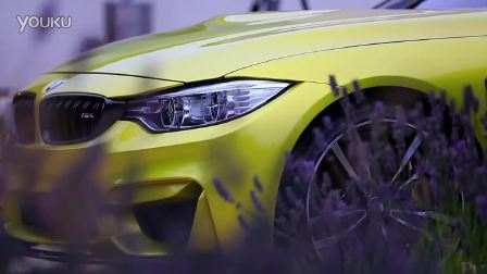 BMW M4 OVERVIEW from Pebble Beach (with Interviews)