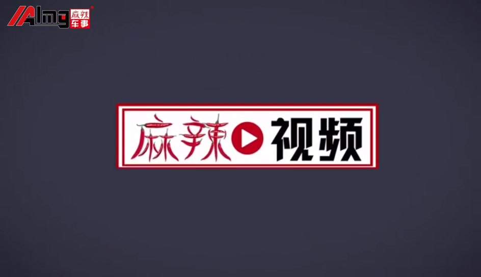 选GL8还是奔驰威霆？纯电的MPV能买吗？| 帮你选MPV