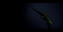  Project Gecko (2020) Teaser